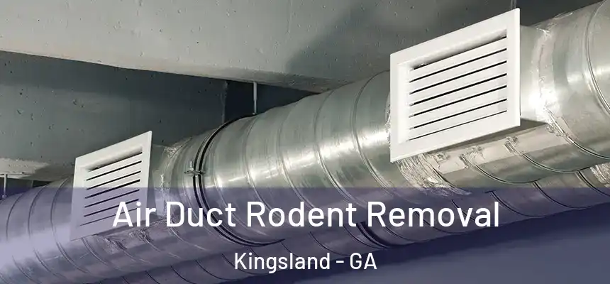 Air Duct Rodent Removal Kingsland - GA