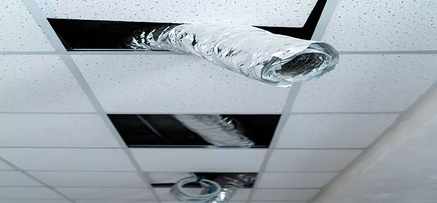 Affordable HVAC Sanitizing After Pest Removal in Kingsland