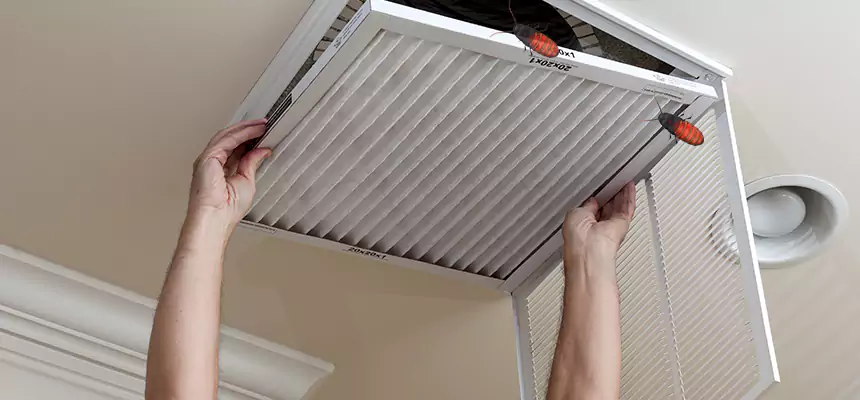 Our Insect Removal from Air Ducts Services in Kingsland, GA