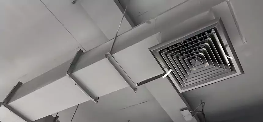 Our Rodent Droppings In Vents Services in Kingsland, GA