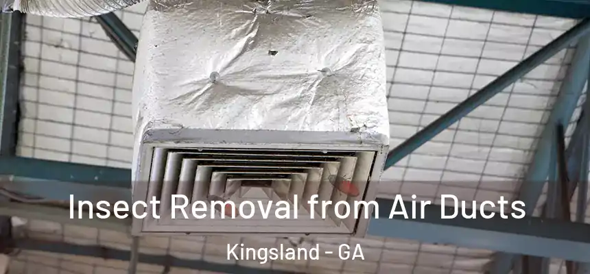  Insect Removal from Air Ducts Kingsland - GA