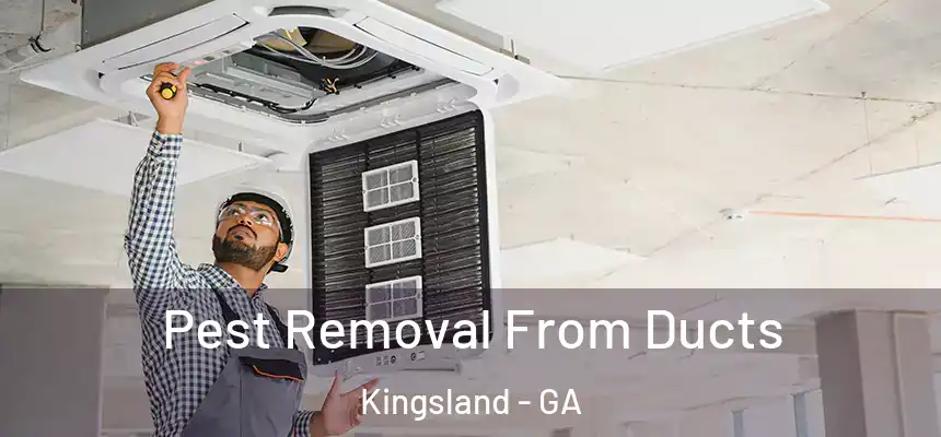  Pest Removal From Ducts Kingsland - GA