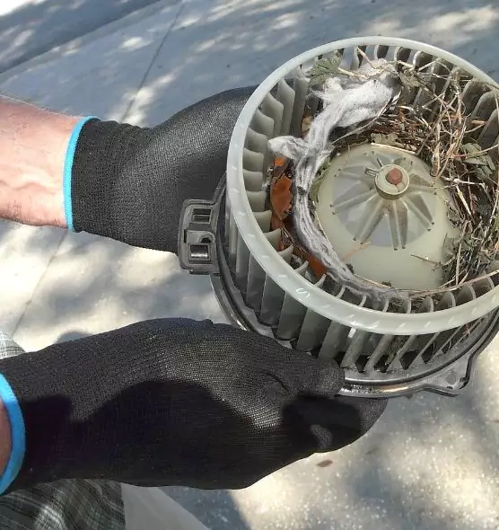 About Air Duct Rat Removal in Kingsland, GA