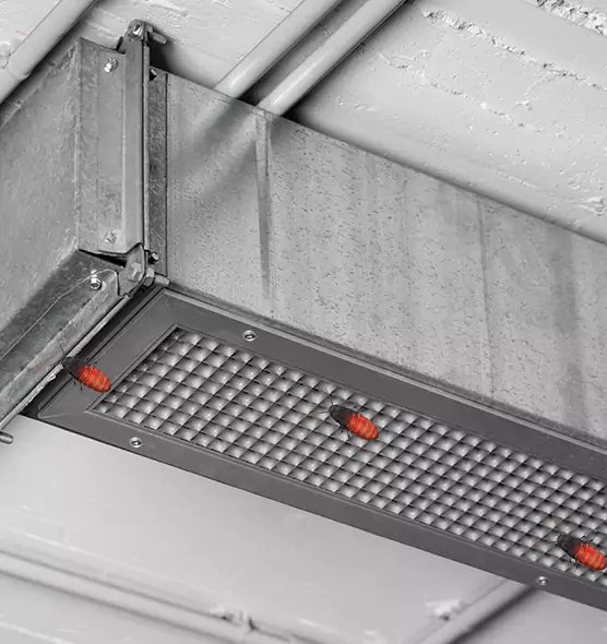 Affordable Insect Removal from Air Ducts in Kingsland, GA