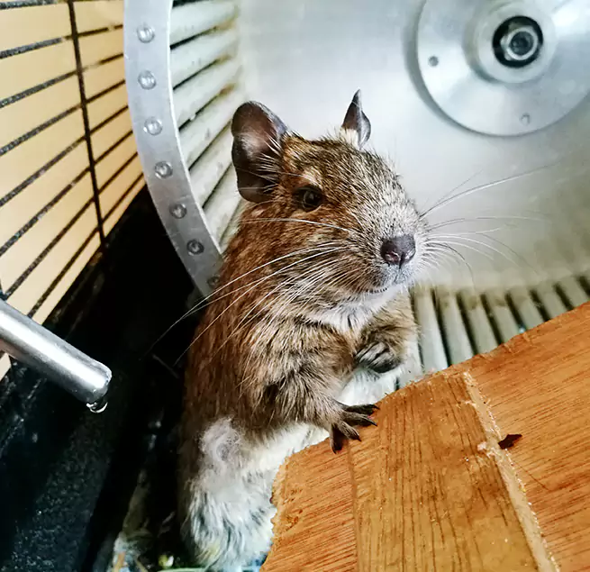 Why Homeowners & Businesses Trust Us Kingsland, GA?