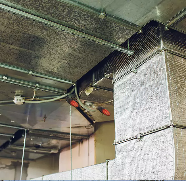 Why Homeowners & Businesses Trust Us Kingsland, GA?