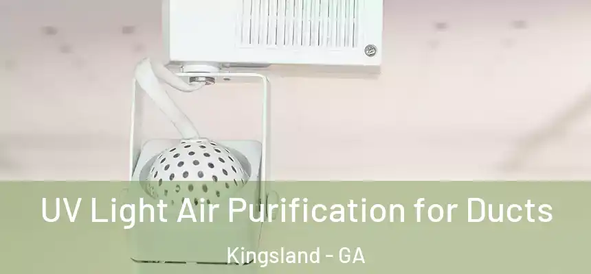  UV Light Air Purification for Ducts Kingsland - GA